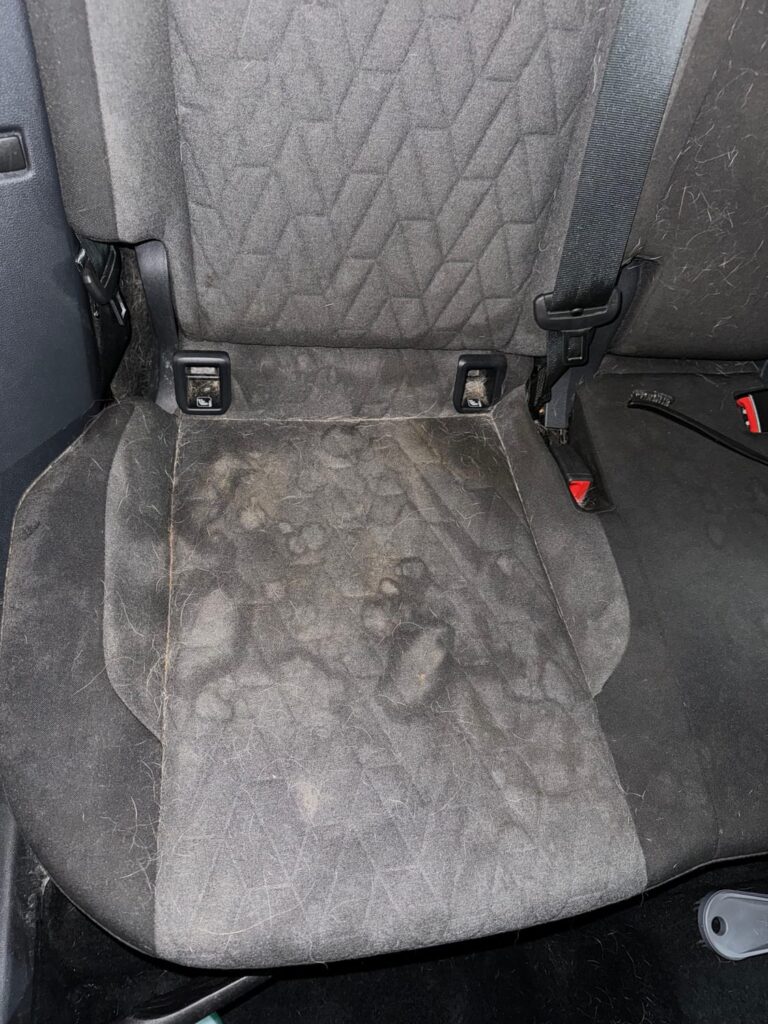 Sedile auto sporco - Clean Car